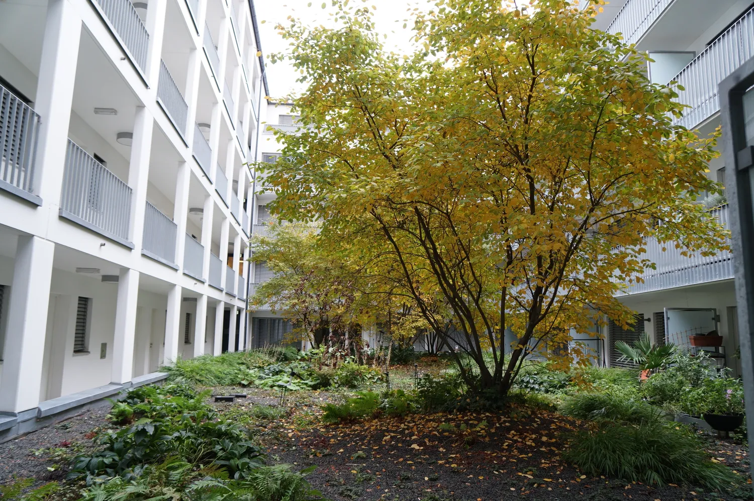 1 Zimmer Wohnung mit 25 m² in Regensburg – Bild 4