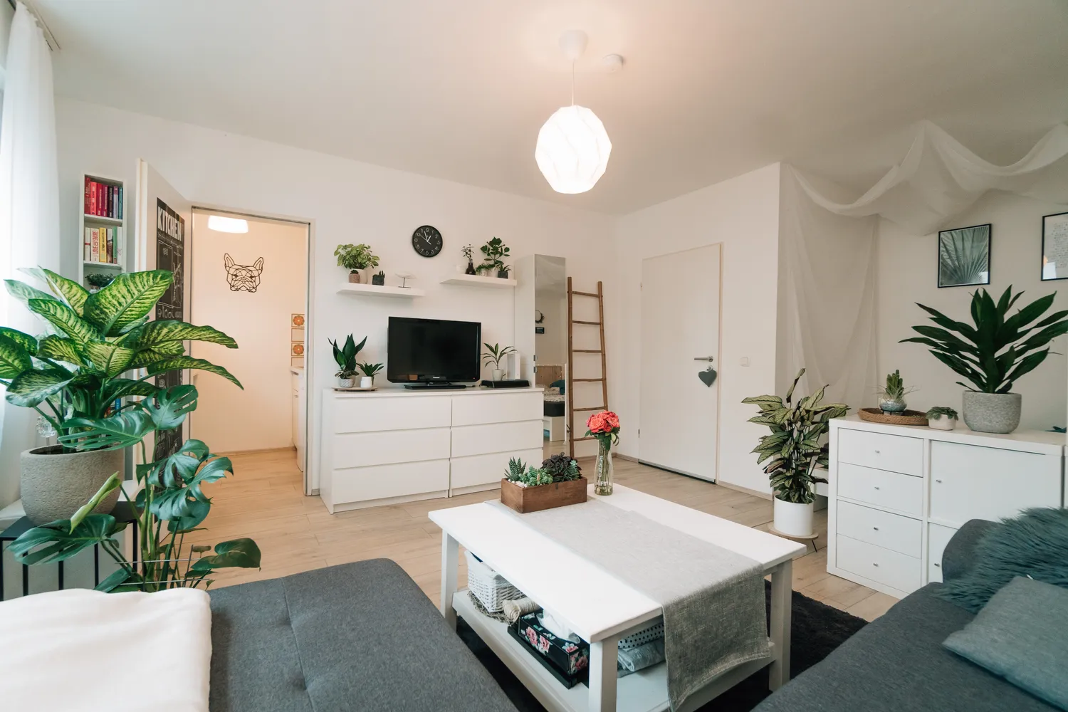1 Zimmer Wohnung mit 32 m² in Köln – Bild 3
