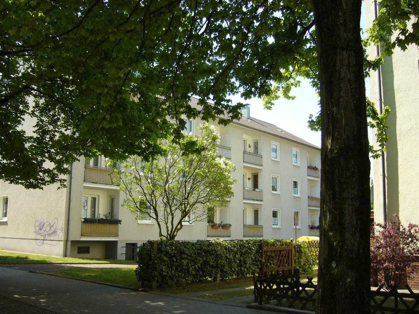 3 Zimmer Wohnung mit 62 m² in Essen – Bild 3