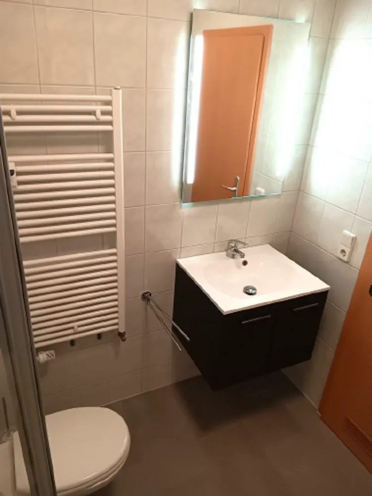 2 Zimmer Wohnung mit 27 m² in Chemnitz – Bild 4