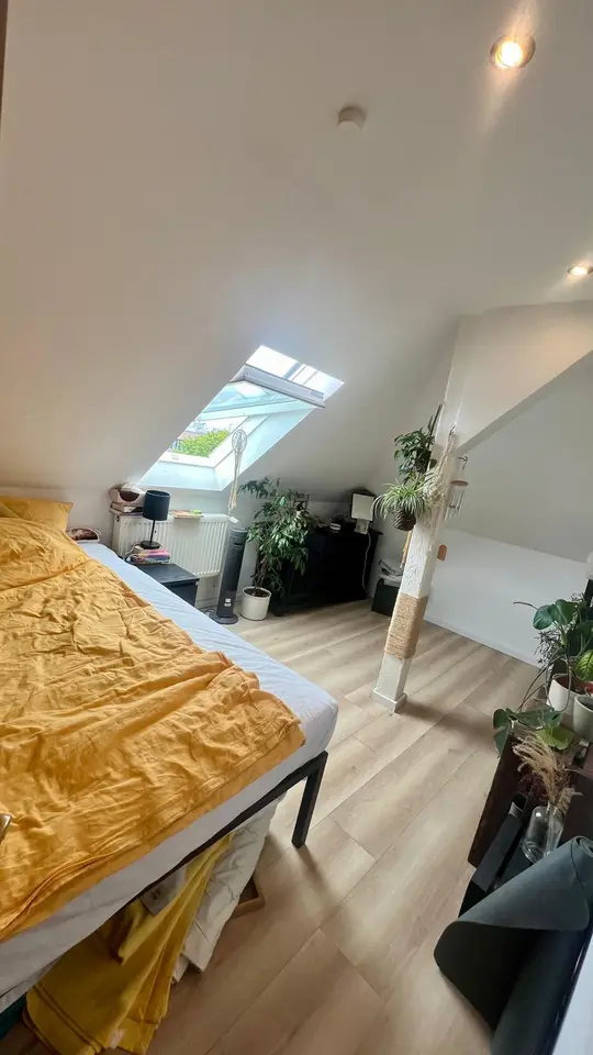 4 Zimmer Wohnung mit 60 m² in Braunschweig – Bild 7