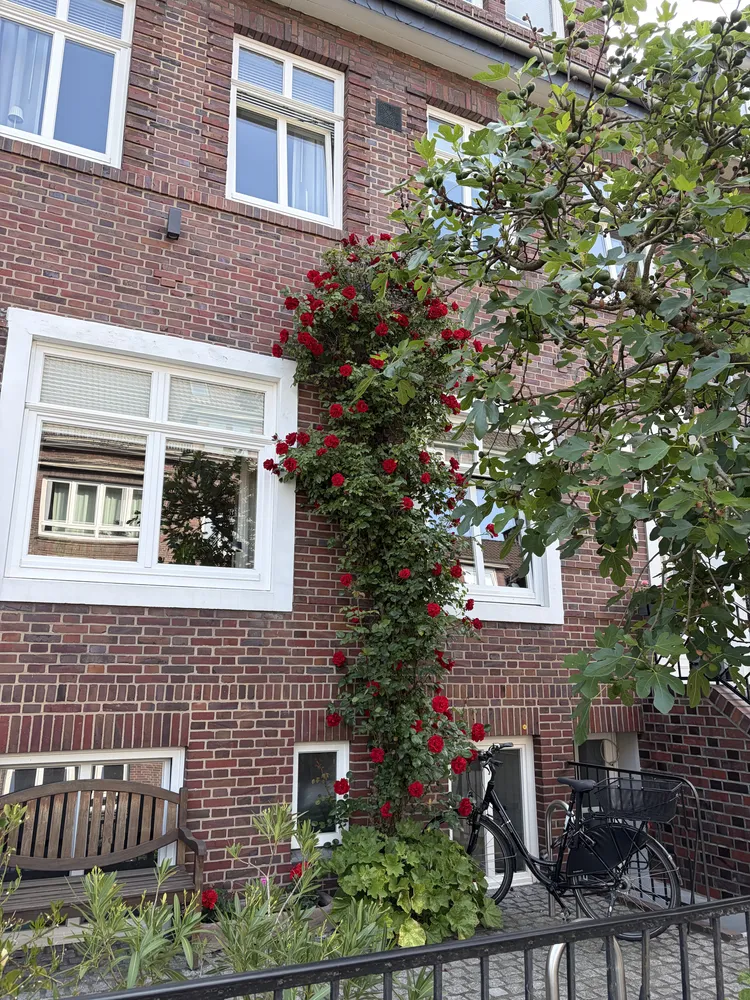 2 Zimmer Wohnung mit 66 m² in Bremen – Bild 1