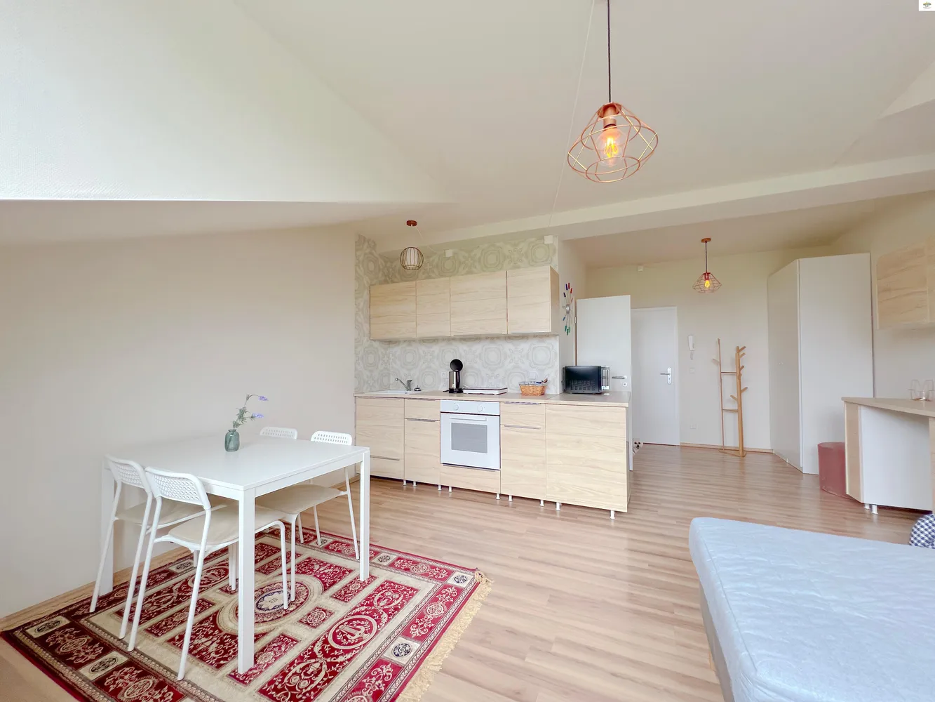 1 Zimmer Wohnung mit 33 m² in Dresden – Bild 4