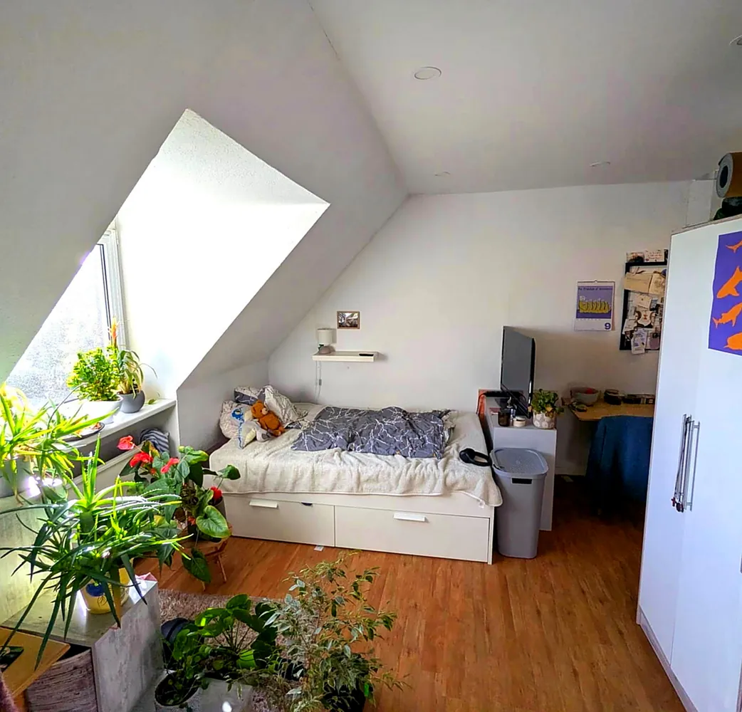 1 room apartment with 23 m² in Osnabrück – Photo 2