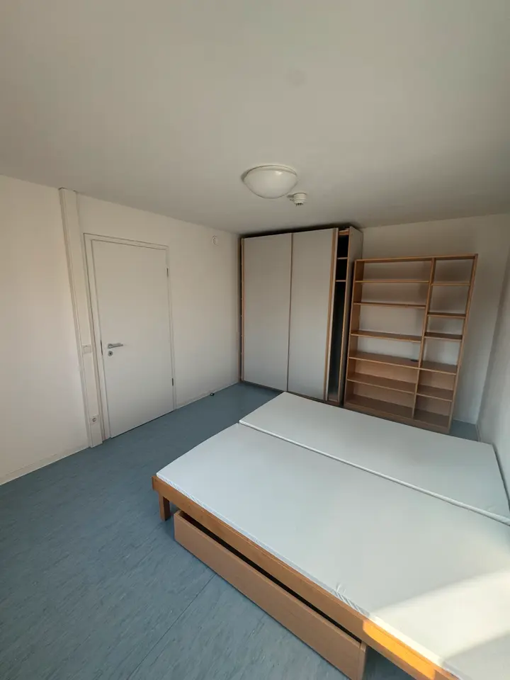 2 Zimmer Wohnung mit 35 m² in Mainz – Bild 3