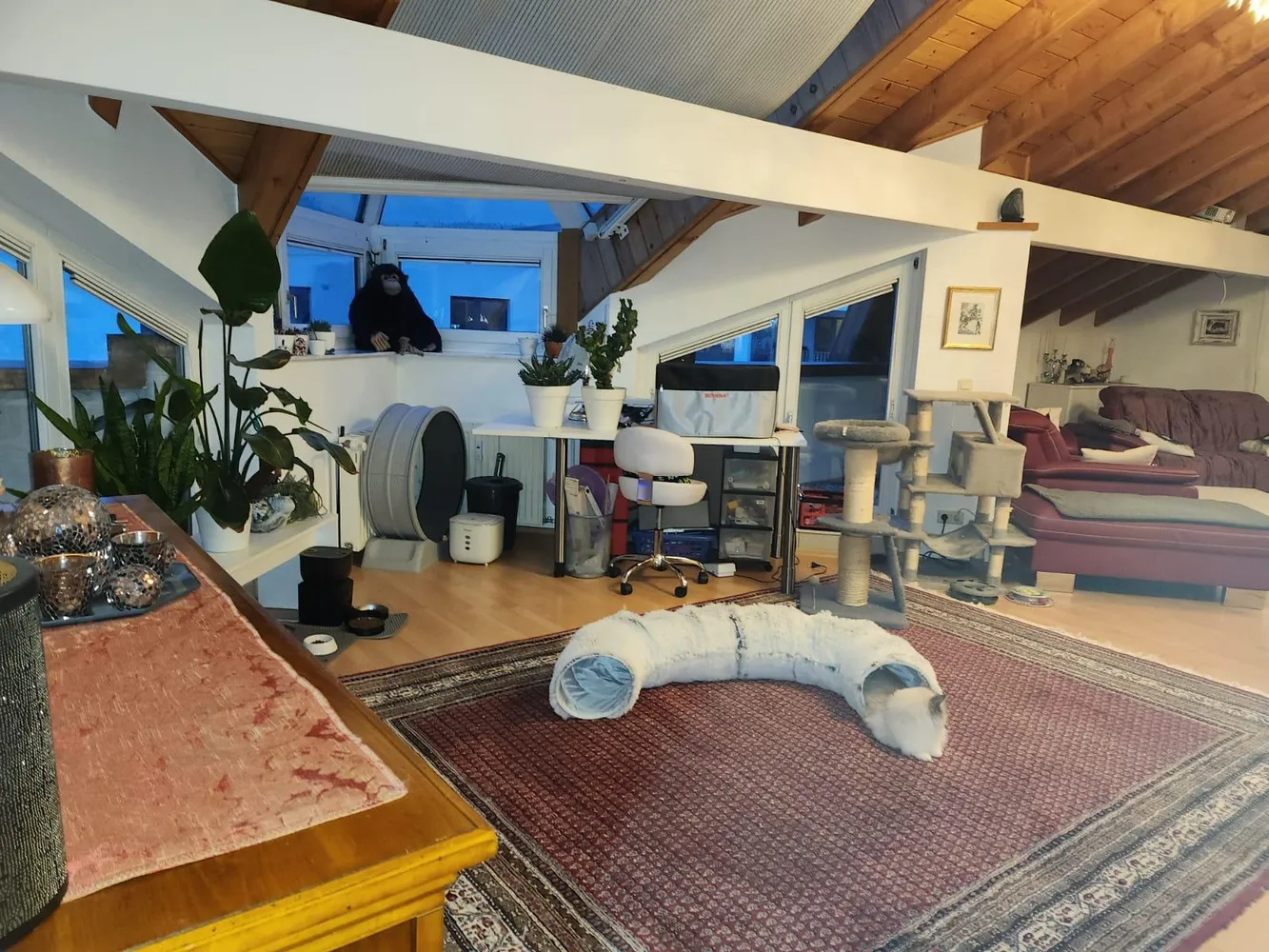 4 Zimmer Wohnung mit 176 m² in Hockenheim – Bild 2