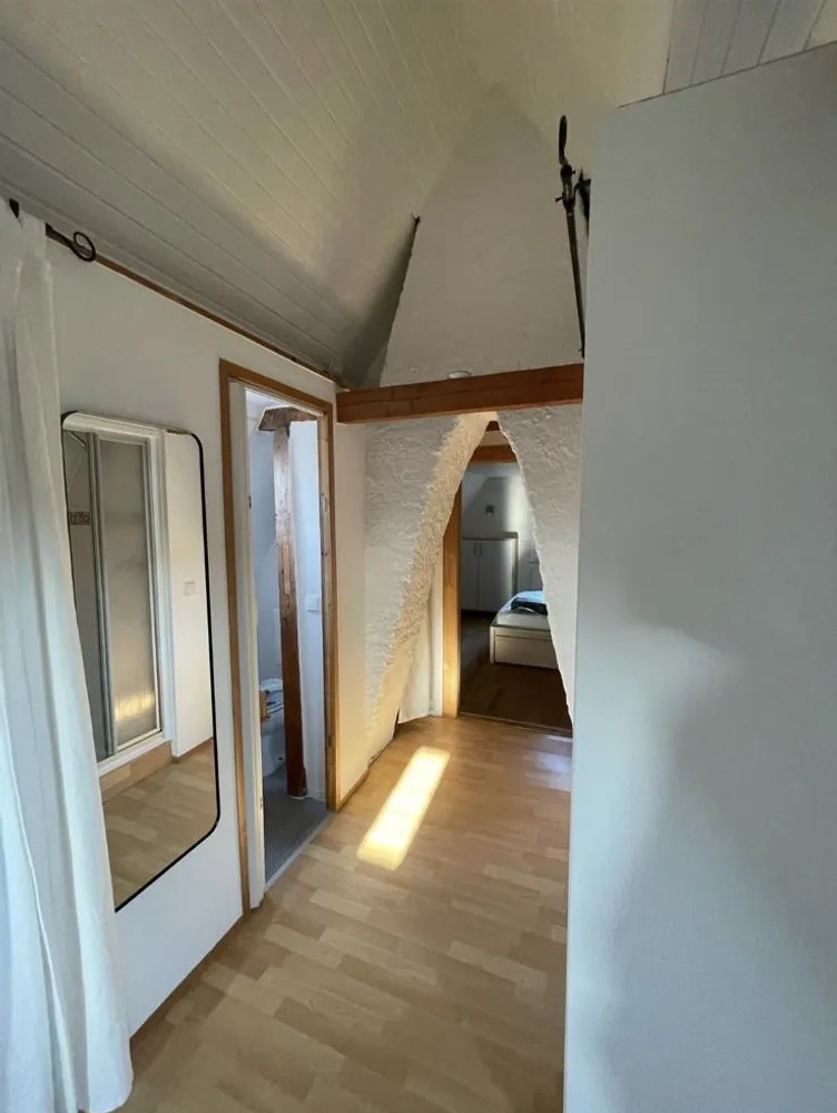 2 Zimmer Wohnung mit 24 m² in Freiburg im Breisgau – Bild 3