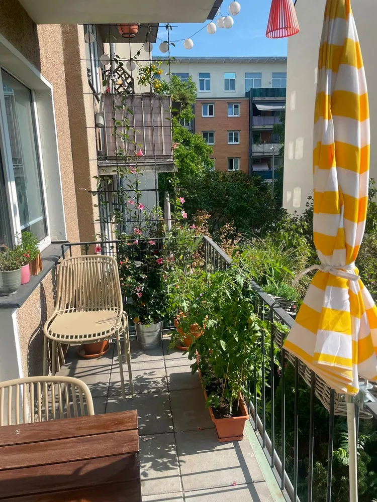 3 Zimmer Wohnung mit 68 m² in Köln – Bild 5