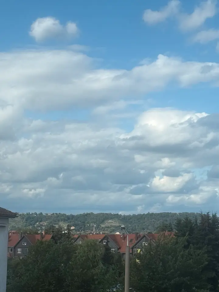 2 Zimmer Wohnung mit 58 m² in Dresden – Bild 4