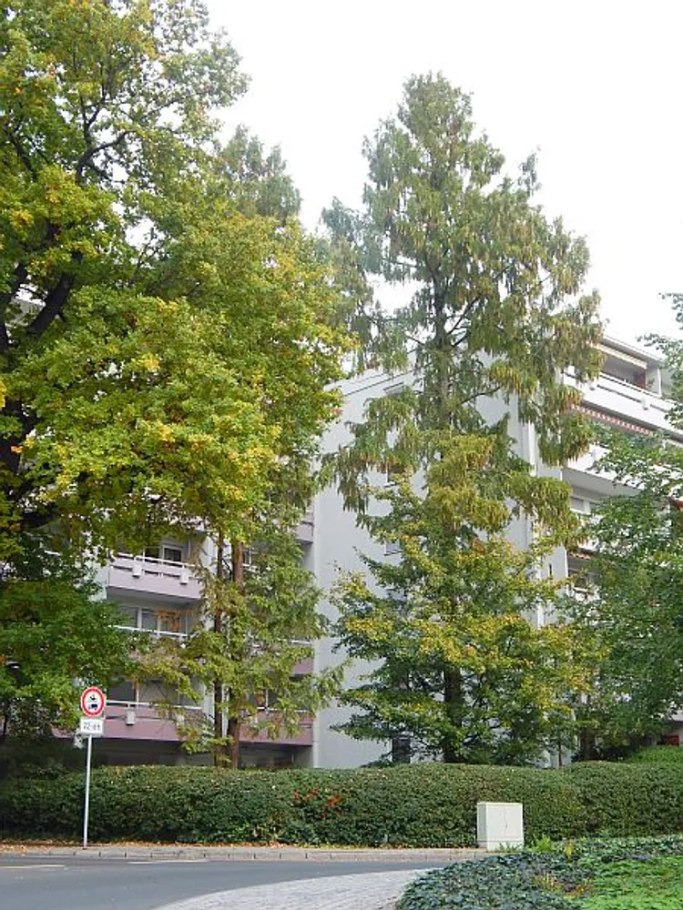 4 Zimmer Wohnung mit 100 m² in Wiesbaden – Bild 2