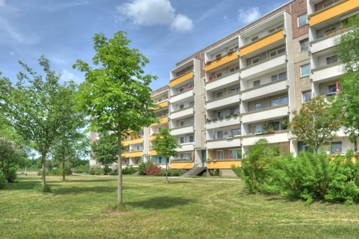 3 Zimmer Wohnung mit 70 m² in Halle (Saale) – Bild 3