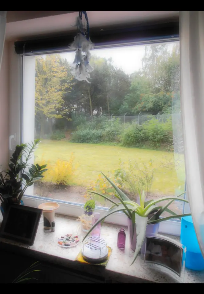 2 Zimmer Wohnung mit 30 m² in Kiel – Bild 7