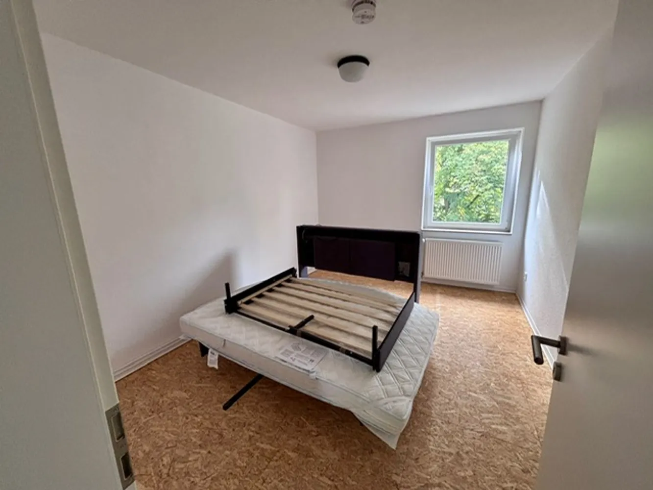 2 room apartment with 47 m² in Brunswick – Photo 2