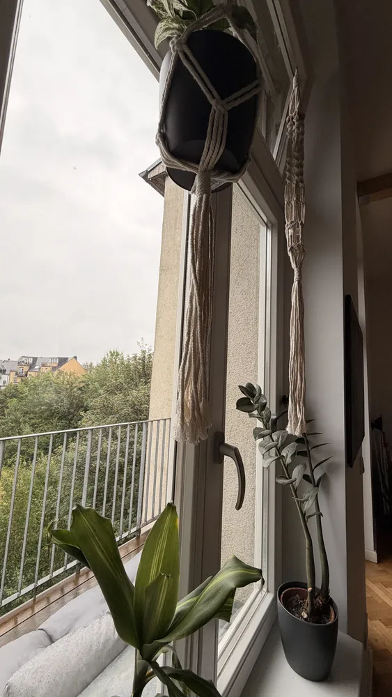 2 Zimmer Wohnung mit 69 m² in Chemnitz – Bild 6