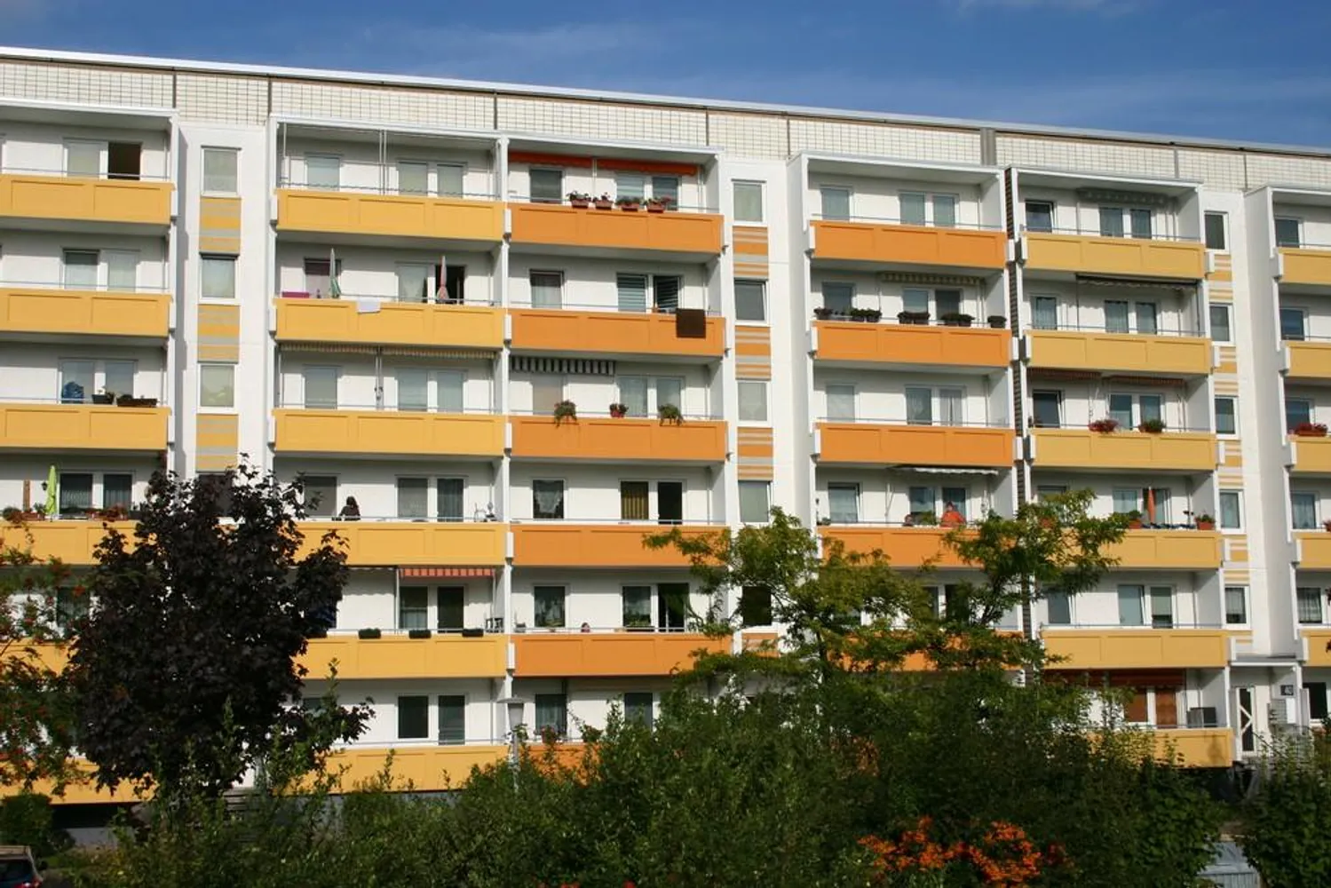 3 room apartment with 69 m² in Magdeburg – Photo 9