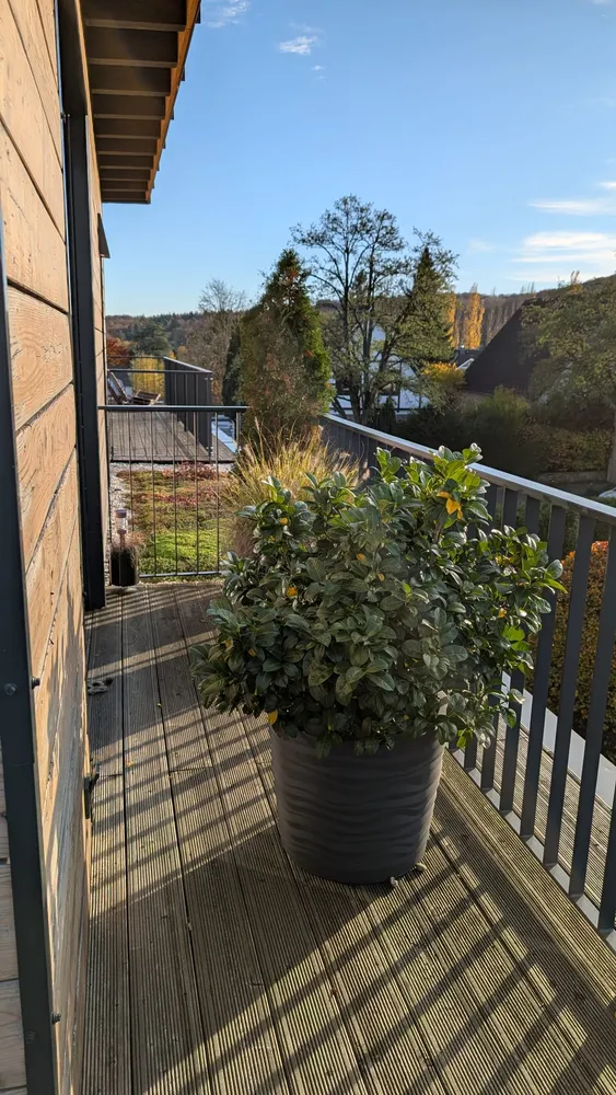 3 room apartment with 79 m² in Königswinter – Photo 2
