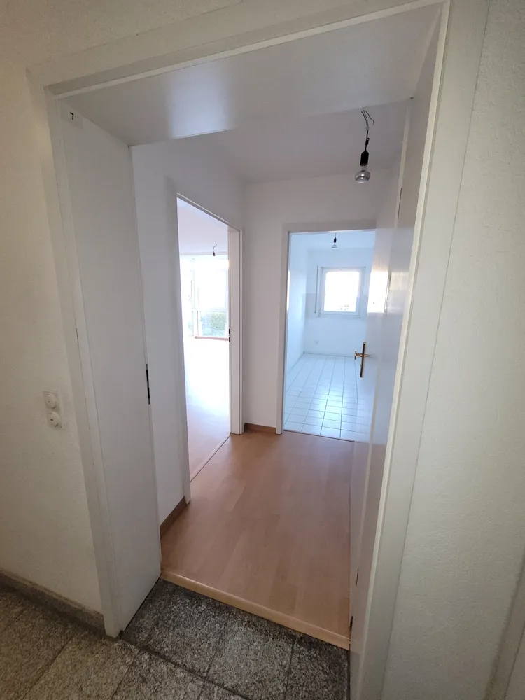 3 Zimmer Wohnung mit 66 m² in Dresden – Bild 1