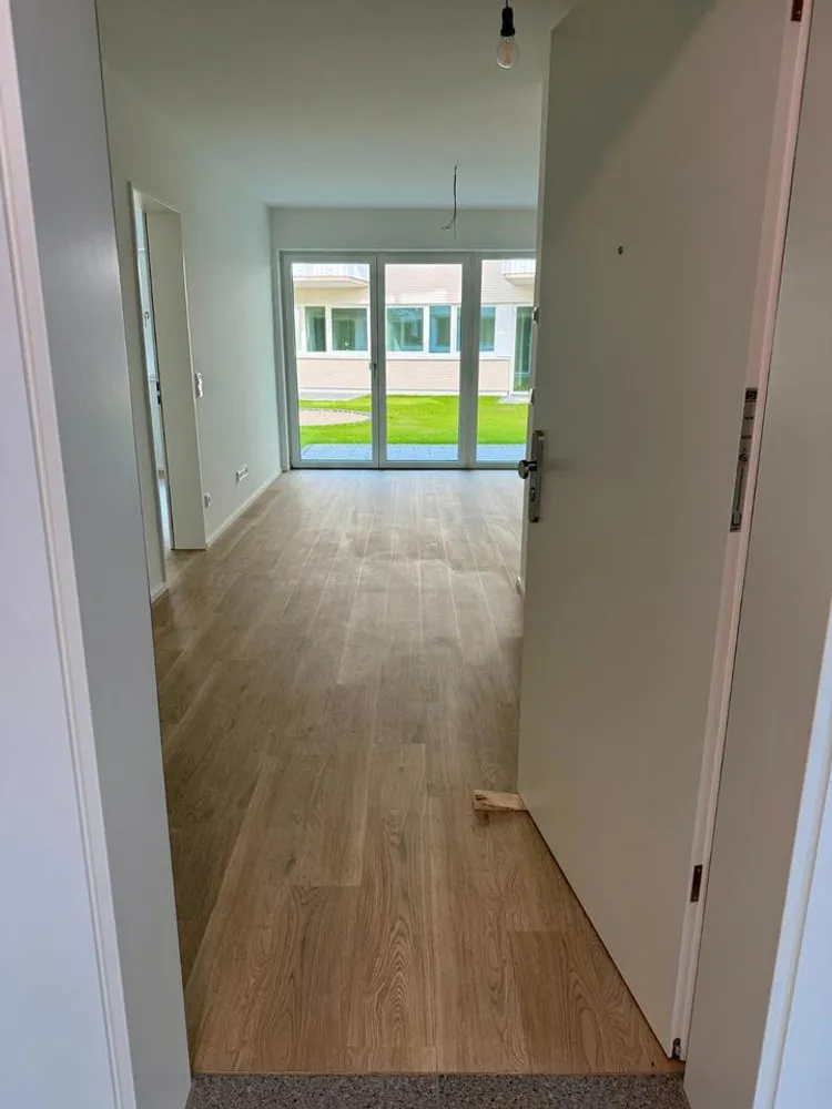 2 room apartment with 52 m² in Dresden – Photo 2