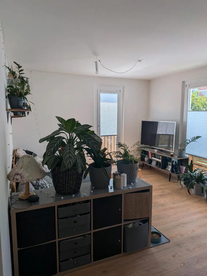 2 Zimmer Wohnung mit 58 m² in Dresden – Bild 2