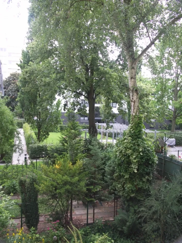 2 Zimmer Wohnung mit 55 m² in Köln – Bild 3