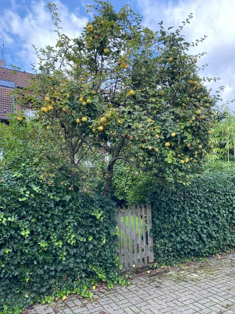 4 Zimmer Wohnung mit 142 m² in Essen – Bild 6