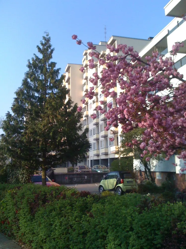 2 Zimmer Wohnung mit 27 m² in Mörfelden-Walldorf – Bild 1