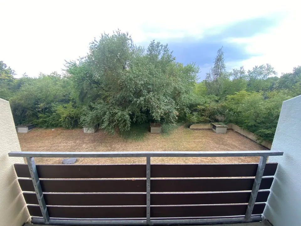 Studio mit 21 m² in Mainz – Bild 4