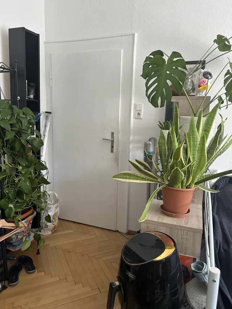 1 Zimmer Wohnung mit 30 m² in Nürnberg – Bild 6