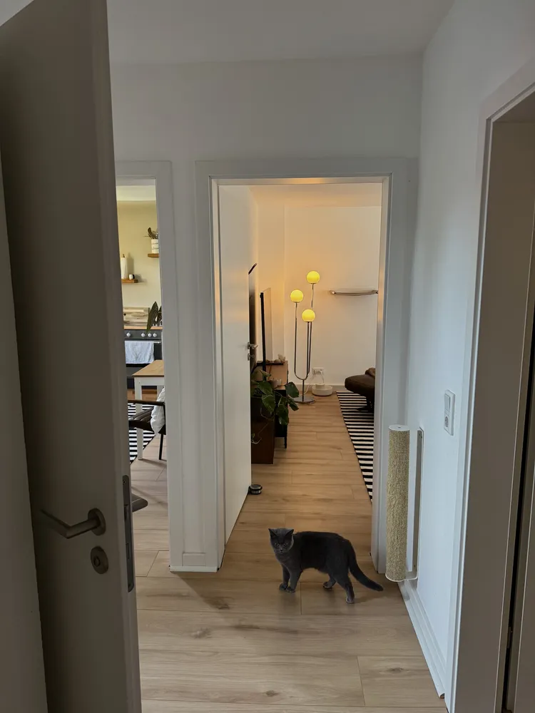 2 Zimmer Wohnung mit 50 m² in Witten – Bild 6