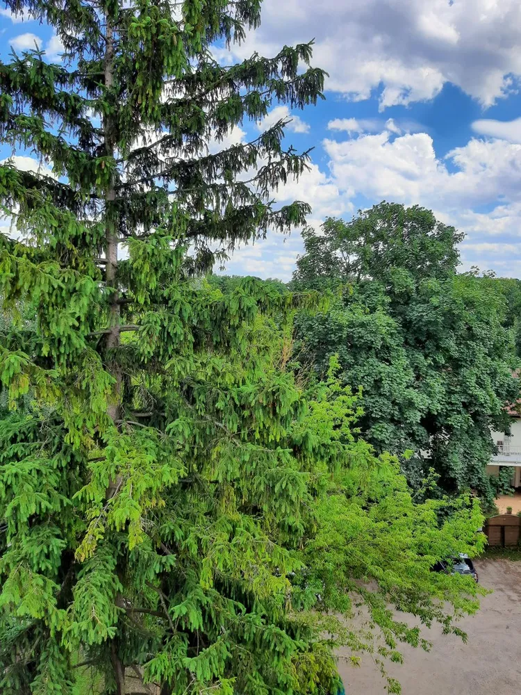 2 room apartment with 51 m² in Berlin – Photo 7