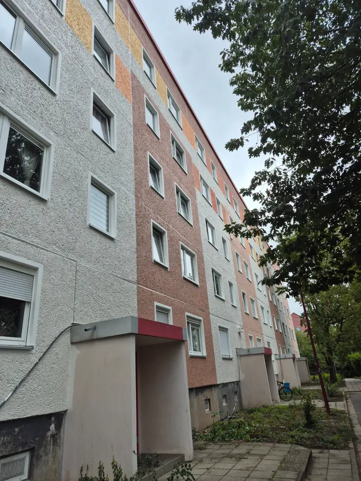 4 Zimmer Wohnung mit 65 m² in Cottbus – Bild 3