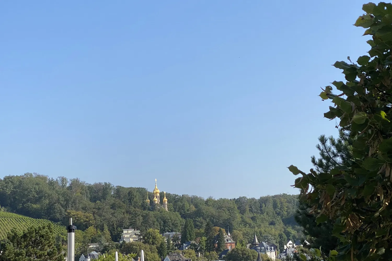 4 Zimmer Wohnung mit 158 m² in Wiesbaden – Bild 5