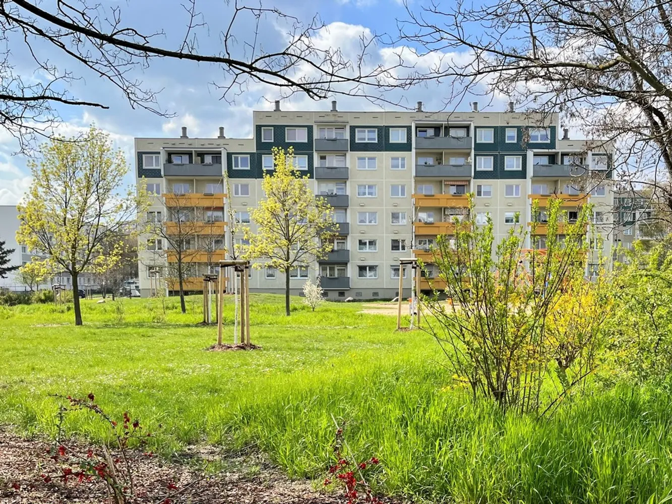 1 Zimmer Wohnung mit 29 m² in Halle (Saale) – Bild 2