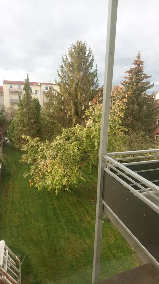 4 room apartment with 96 m² in Magdeburg – Photo 3