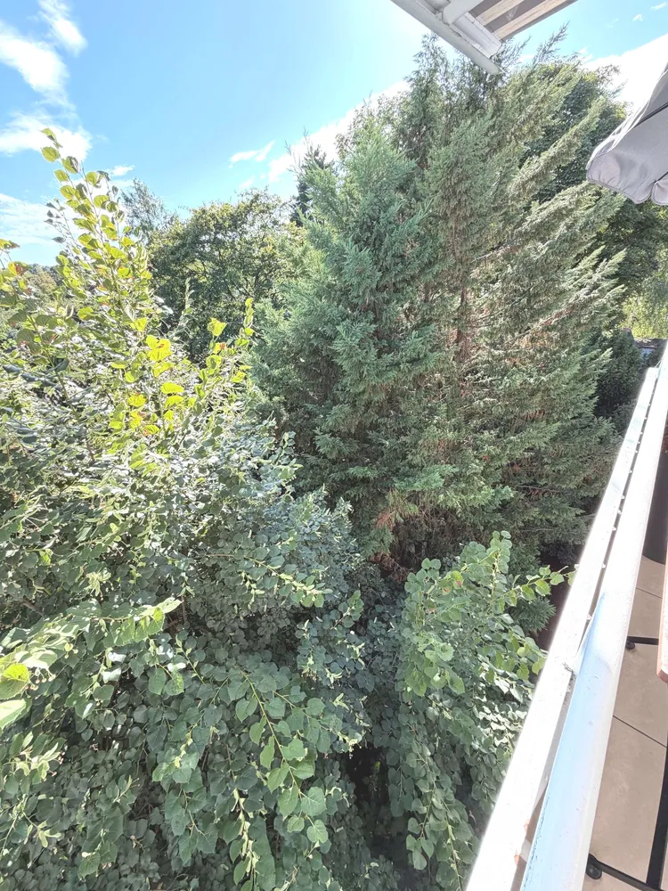 3 Zimmer Wohnung mit 74 m² in Mannheim – Bild 10
