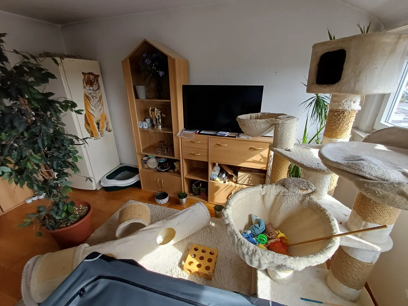 2 Zimmer Wohnung mit 50 m² in Stuttgart – Bild 8