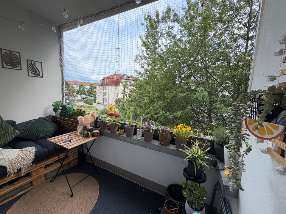 3 Zimmer Wohnung mit 59 m² in Dresden – Bild 3