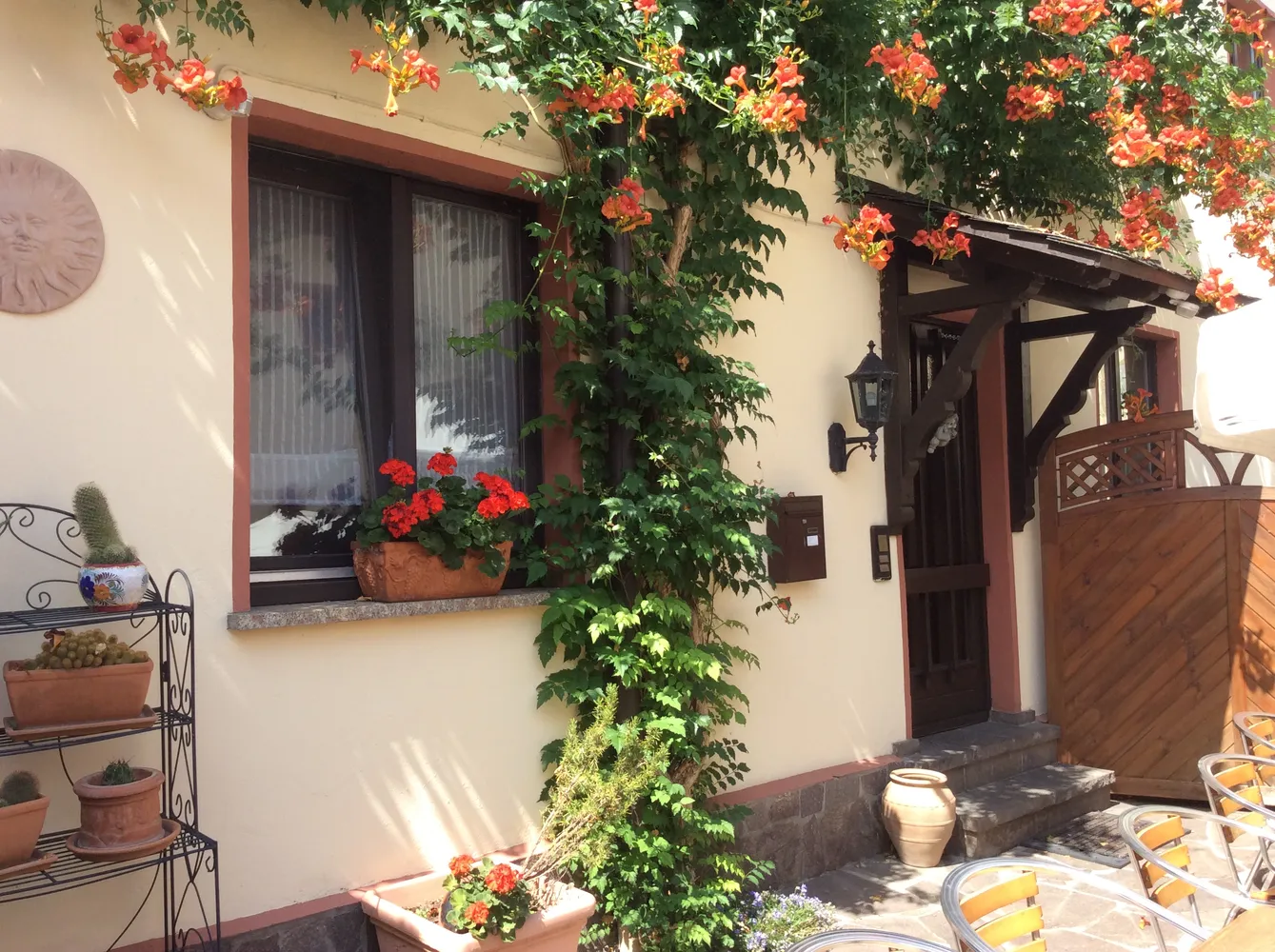 2 Zimmer Wohnung mit 35 m² in Wiesbaden – Bild 1