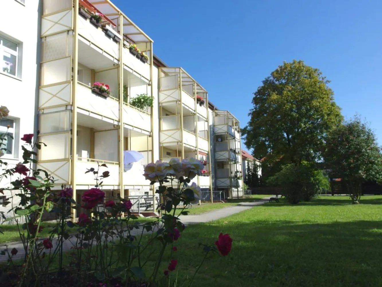 3 room apartment with 63 m² in Kamenz – Photo 1