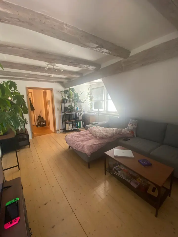 Studio mit 20 m² in Karlsruhe – Bild 6
