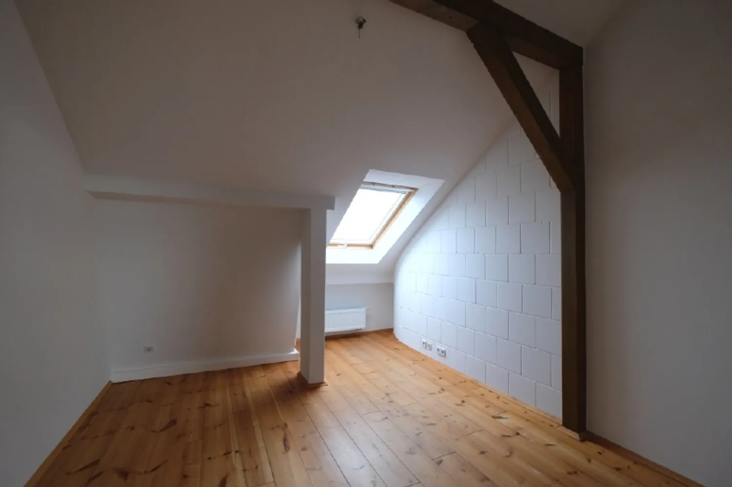 3 room apartment with 69 m² in Dresden – Photo 5