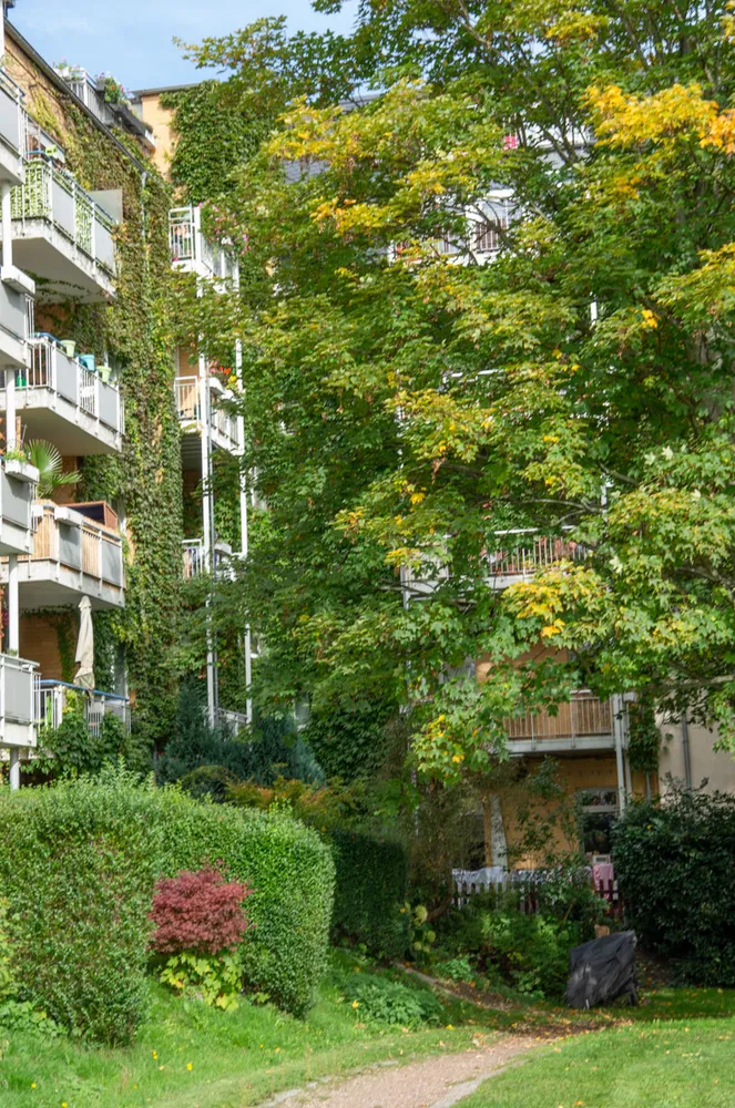 2 Zimmer Wohnung mit 42 m² in Chemnitz – Bild 7