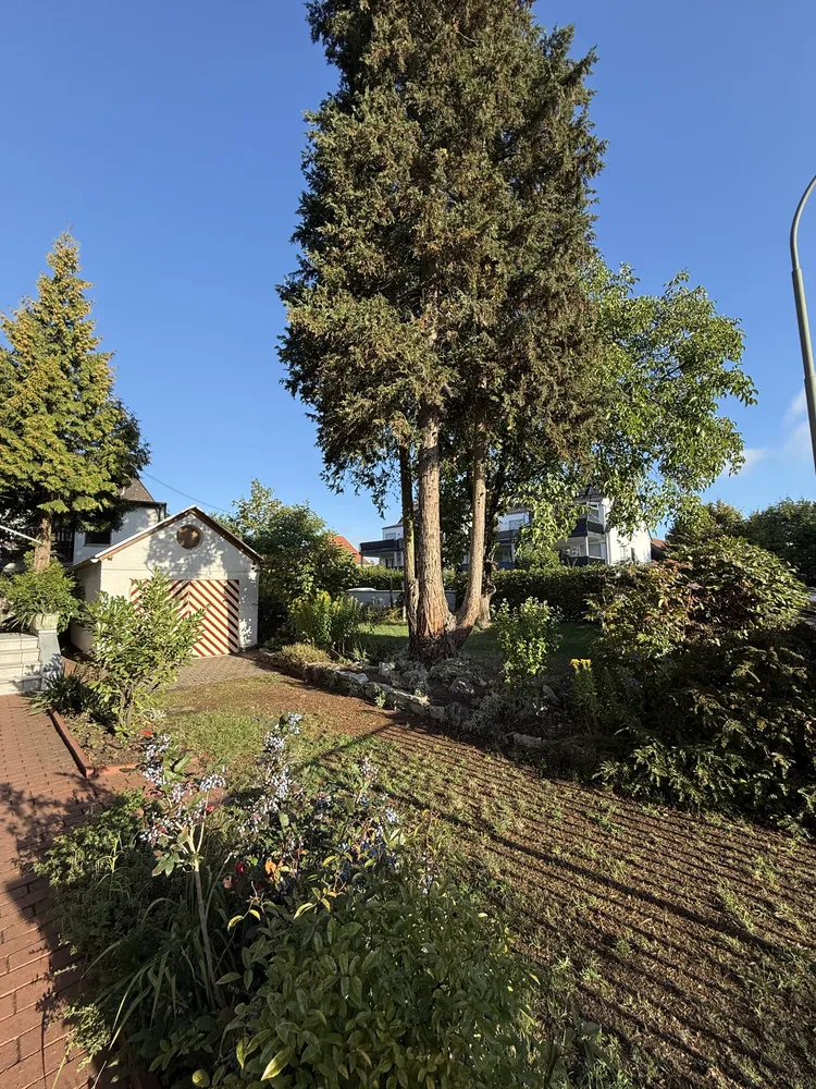 2 Zimmer Wohnung mit 86 m² in Ingolstadt – Bild 4