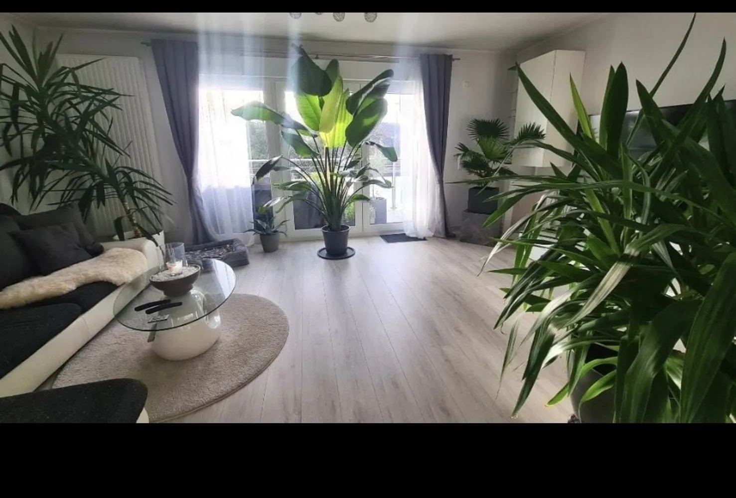 1 Zimmer Wohnung mit 49 m² in Wuppertal – Bild 1