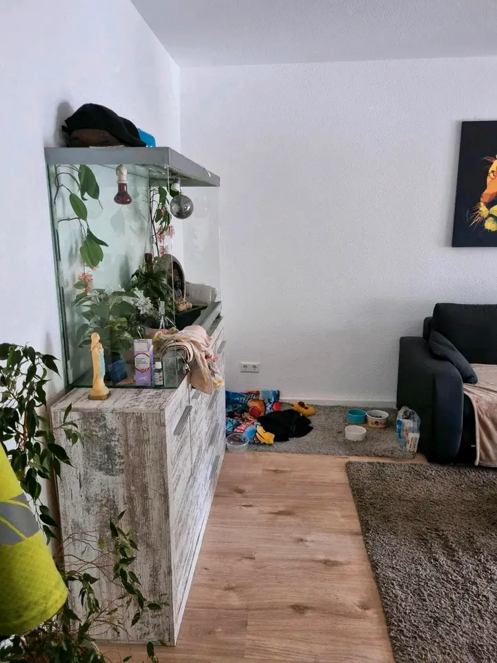 3 Zimmer Wohnung mit 65 m² in Mannheim – Bild 2