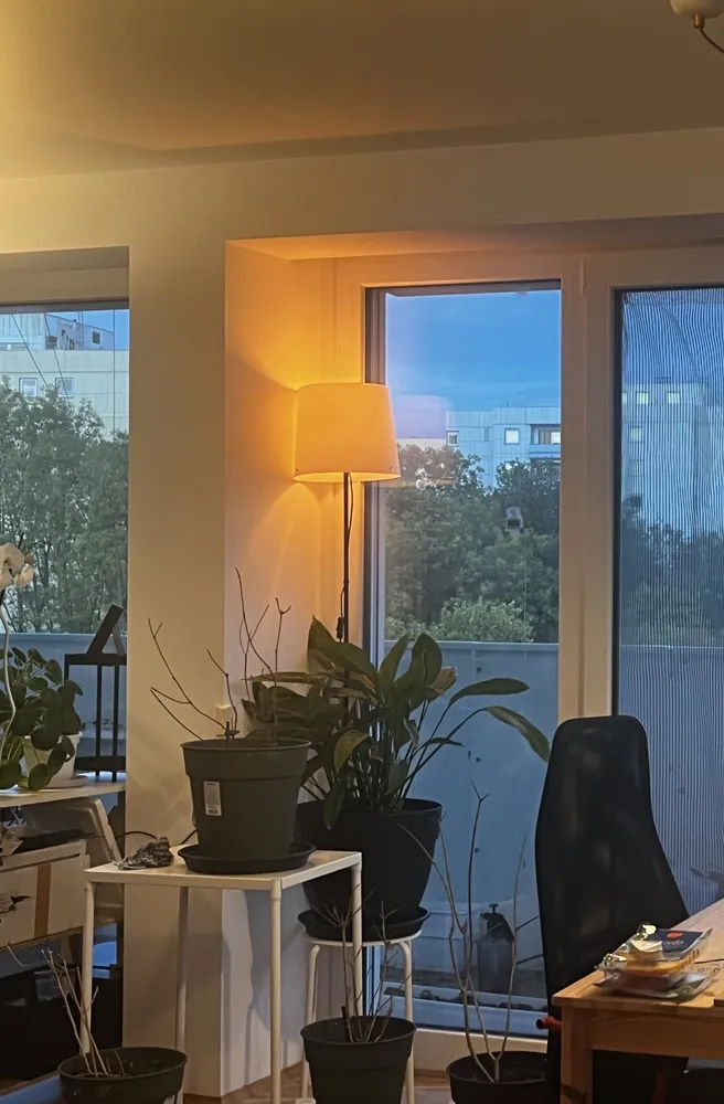 2 Zimmer Wohnung mit 66 m² in Regensburg – Bild 2