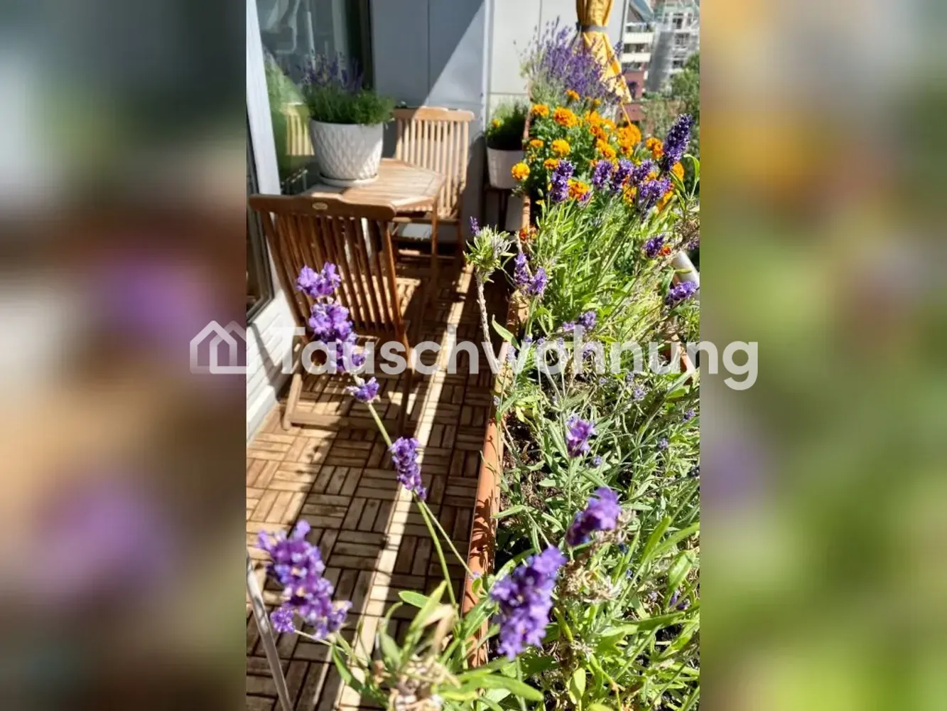 2 room apartment with 63 m² in Hamburg – Photo 2