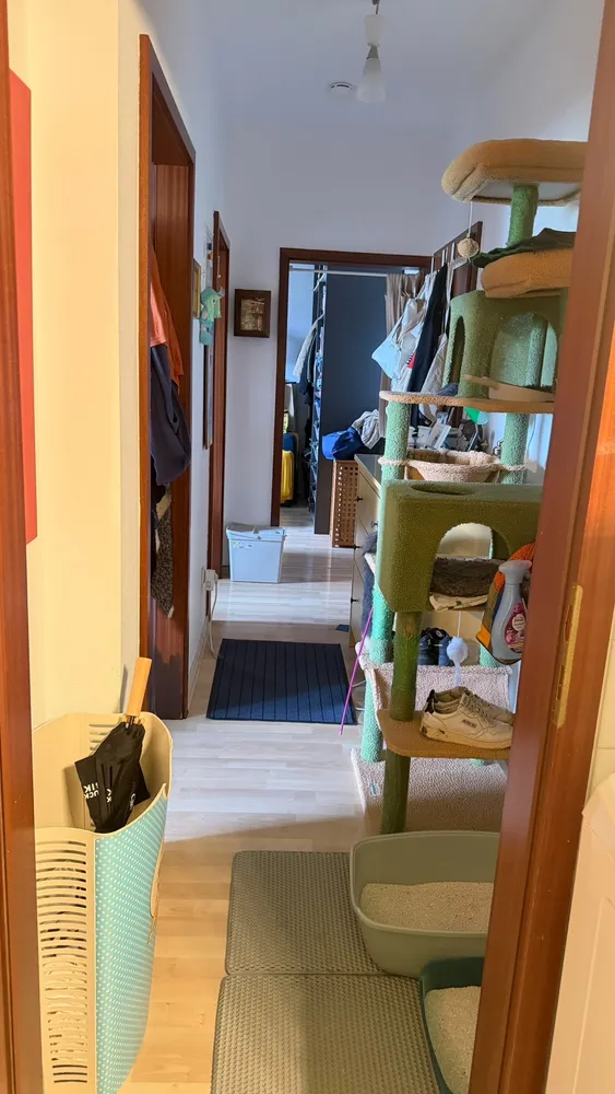 2 room apartment with 55 m² in Wiesbaden – Photo 6