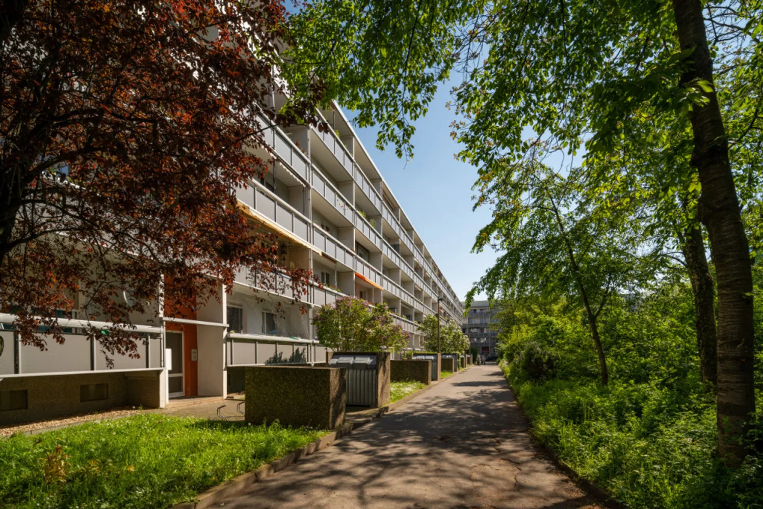 3 Zimmer Wohnung mit 65 m² in Halle (Saale) – Bild 1