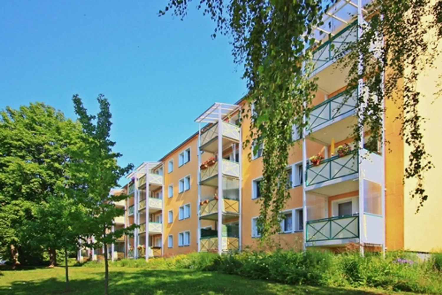 2 Zimmer Wohnung mit 30 m² in Zwickau – Bild 5
